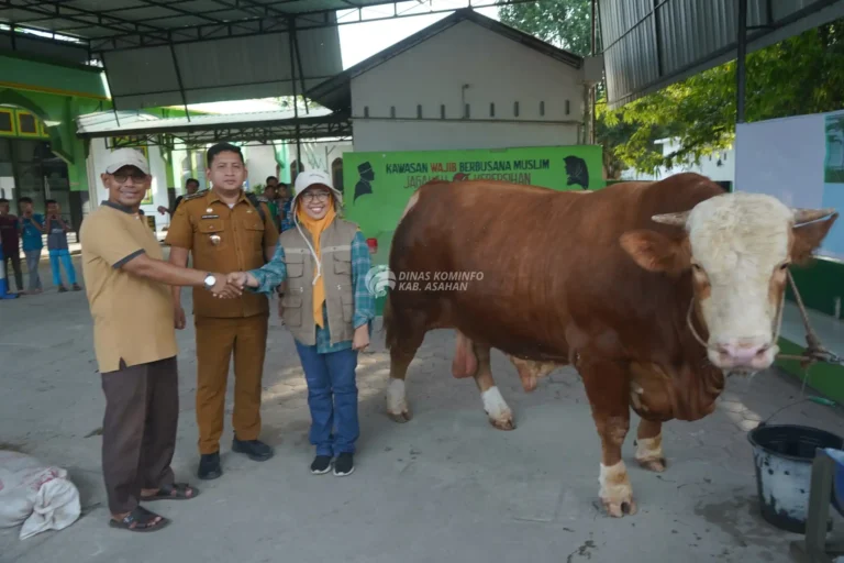 Pastikan Hewan Layak dan Sehat, Pemerintah Kabupaten Asahan Gelar Pemeriksaan Kesehatan Hewan Qurban