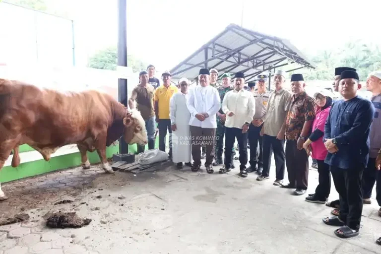 Bupati Asahan Saksikan Penyembelihan Sapi Bantuan Kemasyarakatan Presiden di Air Batu